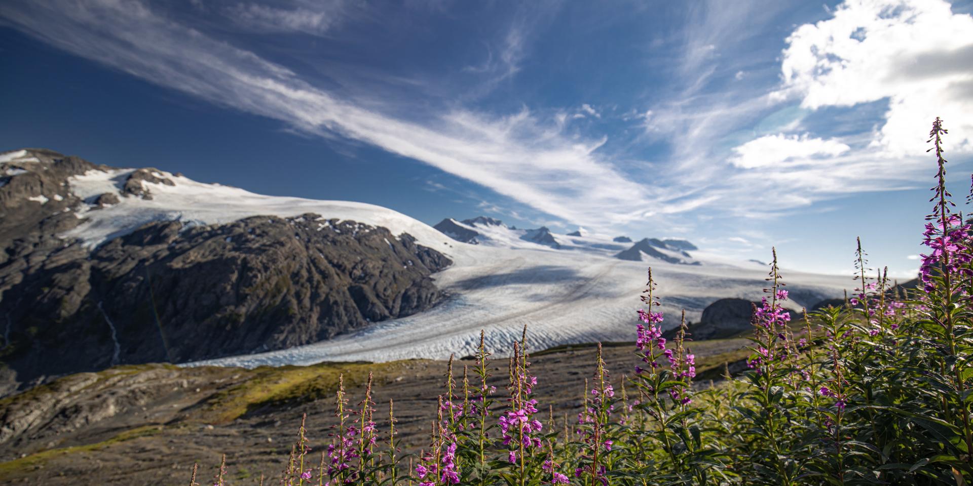 Trails & tundra